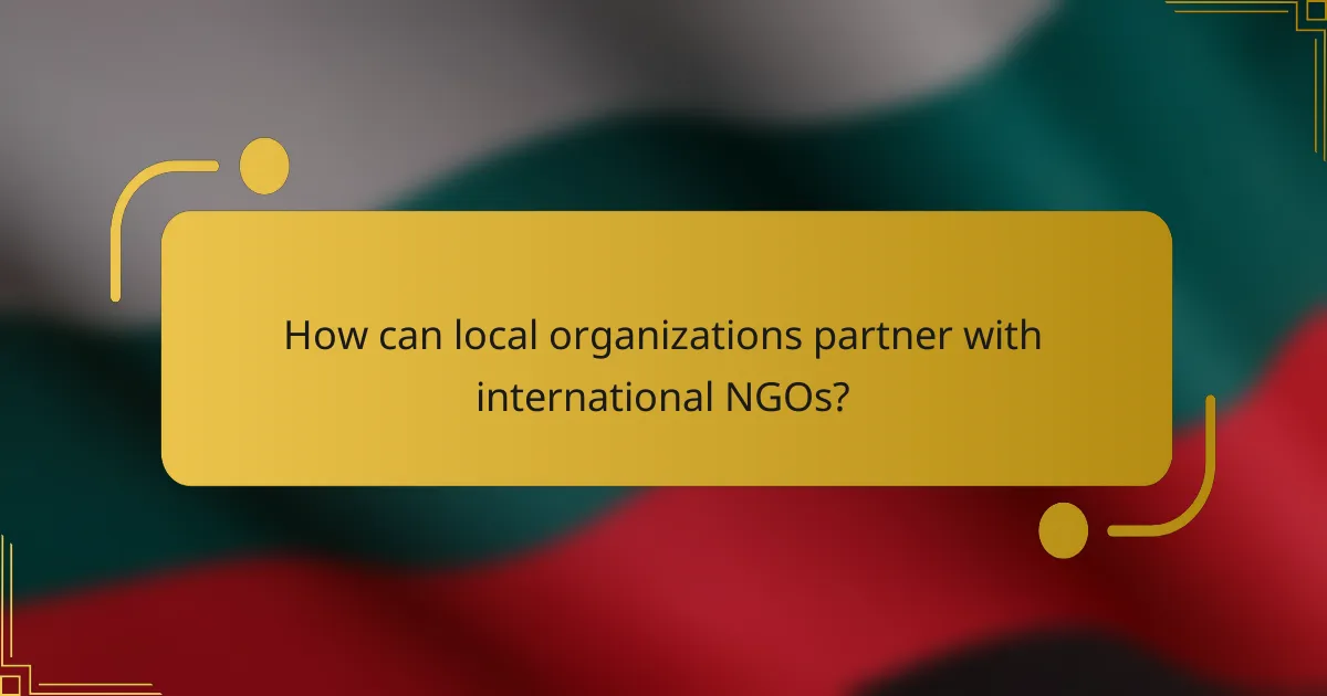 How can local organizations partner with international NGOs?