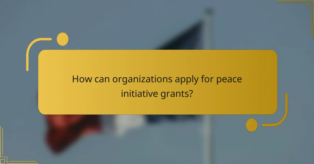 How can organizations apply for peace initiative grants?