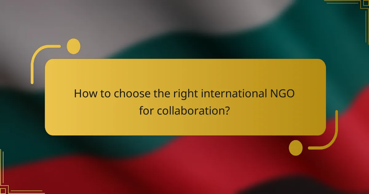 How to choose the right international NGO for collaboration?