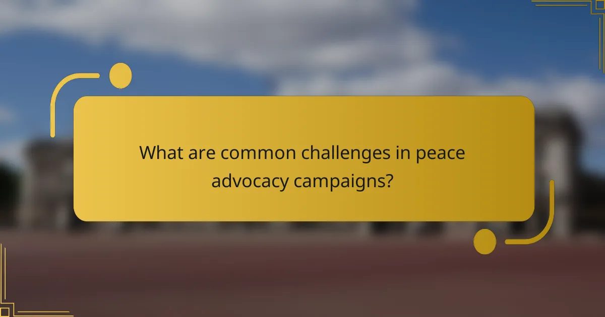 What are common challenges in peace advocacy campaigns?