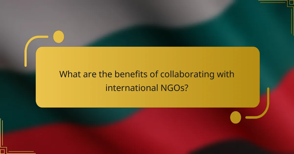 What are the benefits of collaborating with international NGOs?