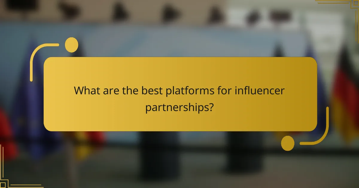 What are the best platforms for influencer partnerships?