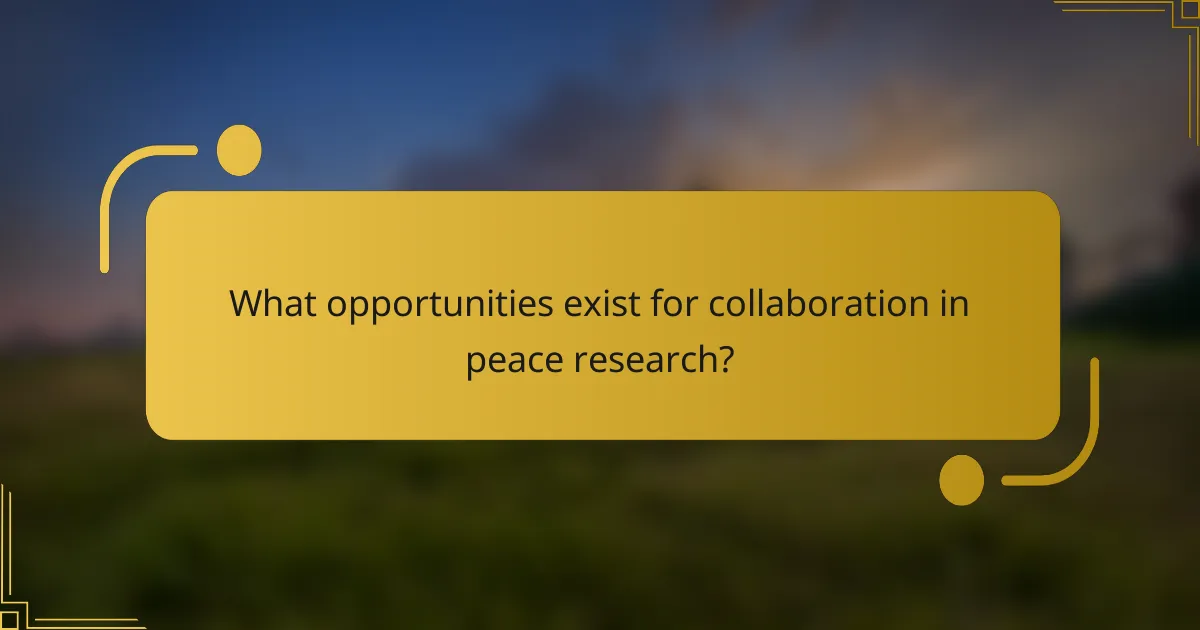 What opportunities exist for collaboration in peace research?