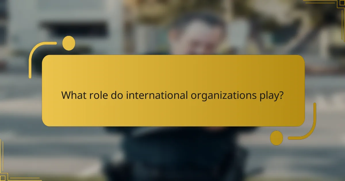 What role do international organizations play?